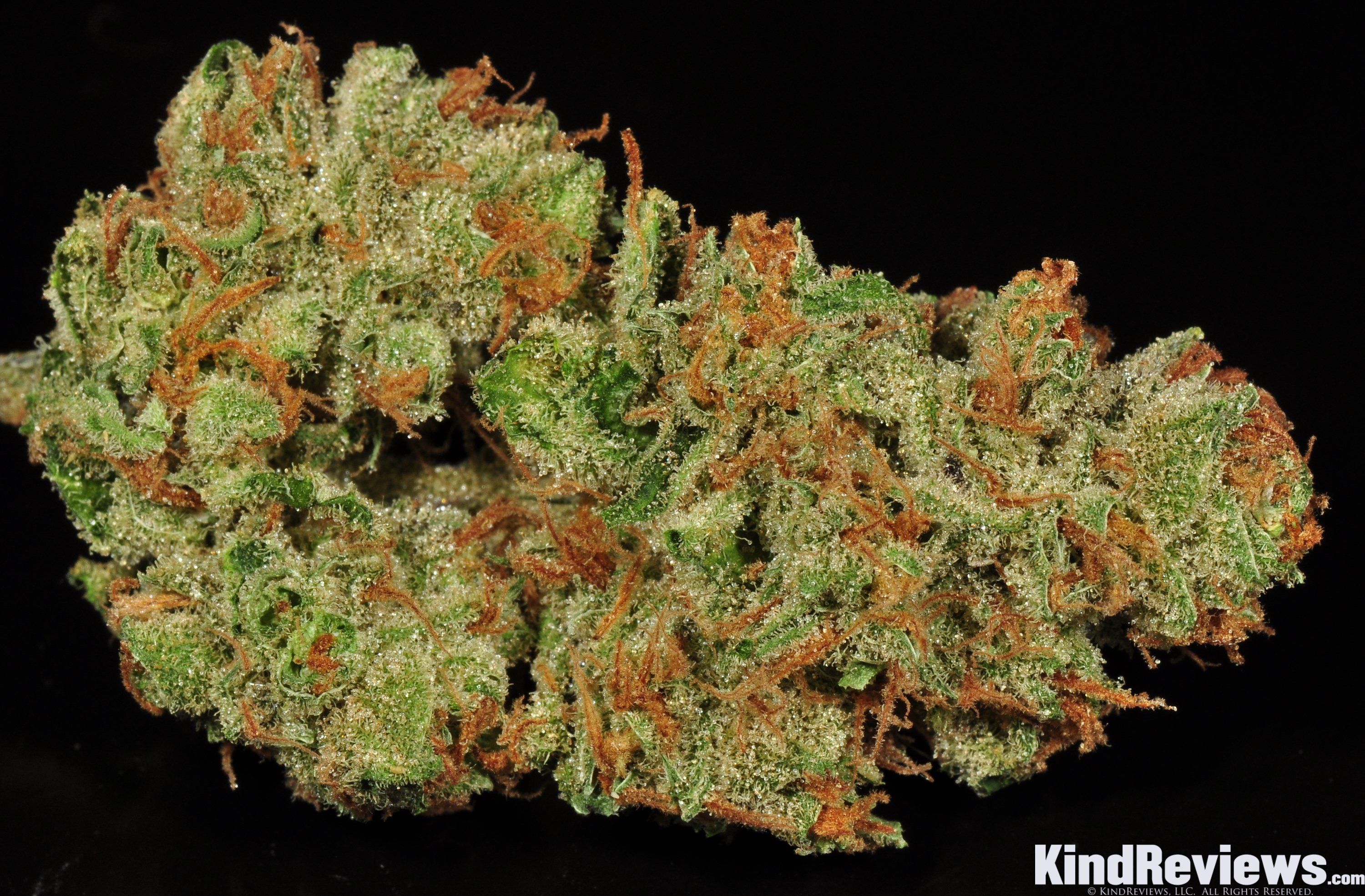 rare-dankness-moonshine-haze-4