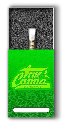 true-canna-genetics-packaging-1