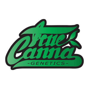 True Canna Genetics