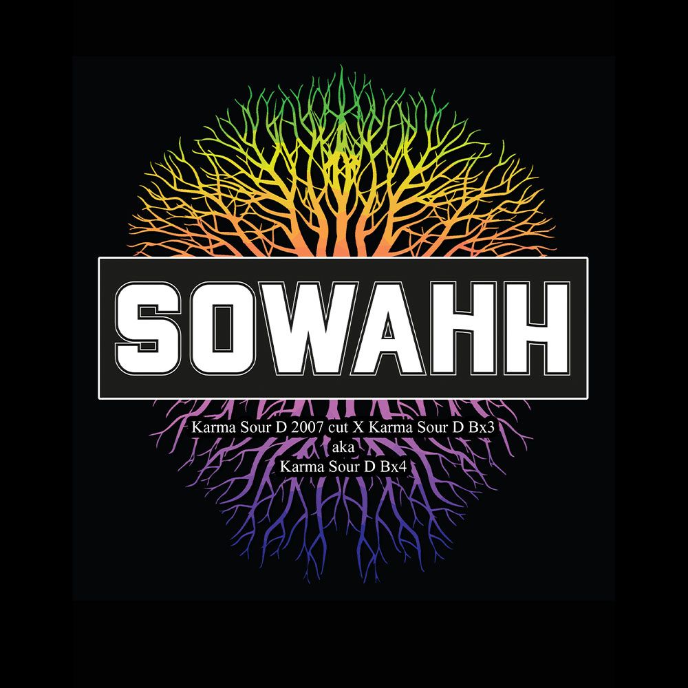 karma-genetics-sowahh-regular-cannabis-seeds-3